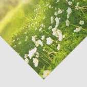 De Joys of Spring Tissuepapier (Detail)