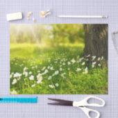 De Joys of Spring Tissuepapier (Craft)