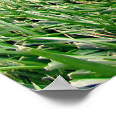 De juiste schoenen poster (Hoek)