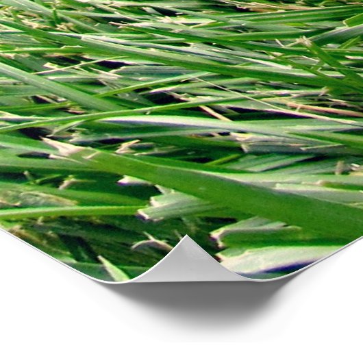 De juiste schoenen poster (Hoek)