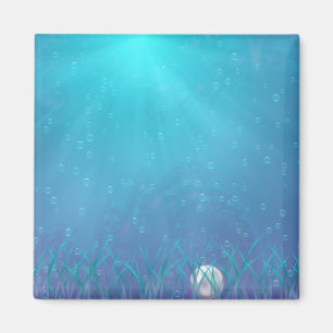 De juweel van het Zee Magnet