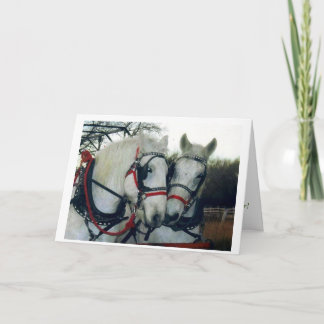 De Kaart 2010 van de vakantie