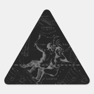 De Kaart Hevelius 1690 van de Constellatie van Sticker