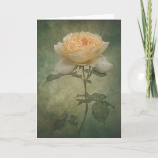 De kaart met één roos (Voorkant)