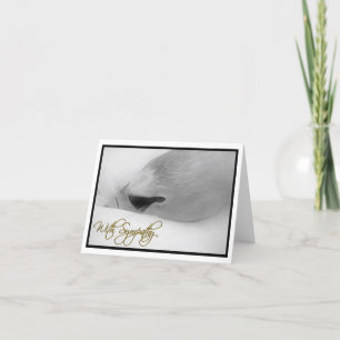 De Kaart "met van de Sympathie"