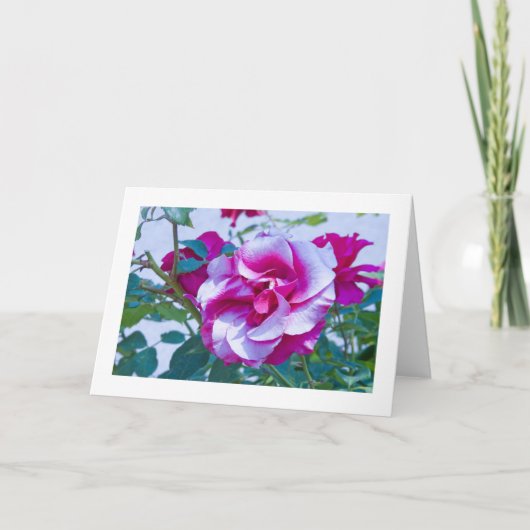 De kaart, nam # 232 toe kaart (Voorkant)