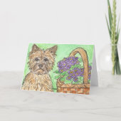 De kaart pansies mand van de Verjaardag van (Achterkant)