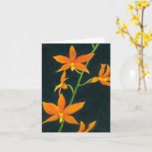 De Kaart "uit van de Duisternis" van de (Gele Bloem)