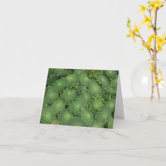 De Kaart van Aeonium tabuliforme (Gele Bloem)