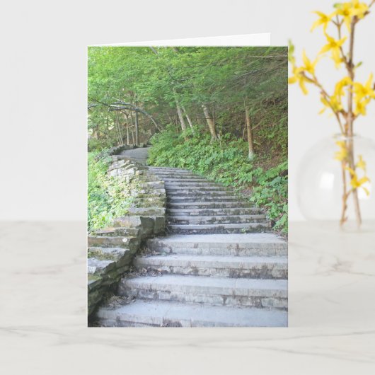 De Kaart van afstuderen, het Park van de Staat van (Gele Bloem)