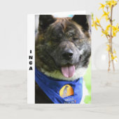 De kaart van Akita (Gele Bloem)