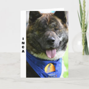 De kaart van Akita