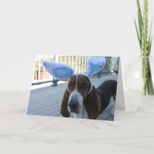 De Kaart van Basset Hound Pasen