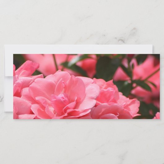 De Kaart van Beatitudes Prayer (Achterkant)