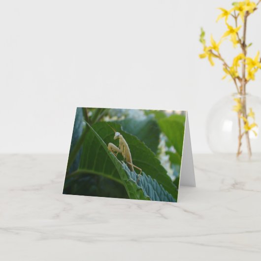 De Kaart van bidsprinkhanen (Gele Bloem)