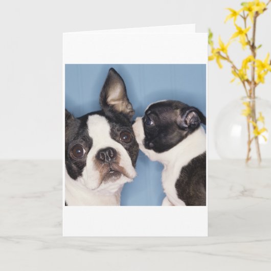 De Kaart van Boston Terrier Vaderdag (Gele Bloem)