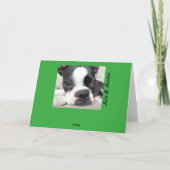 De Kaart van Boston Terrier van het elf (Achterkant)