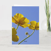 De kaart van boterbloemen (Achterkant)