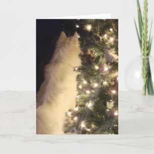 De Kaart van Chiristmas