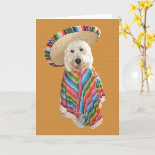 De kaart van Cinco DE Mayo van Goldendoodle (Gele Bloem)