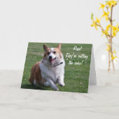 De Kaart van Corgi (Gele Bloem)