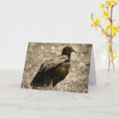 De Kaart van Customizeable van de gier (Gele Bloem)