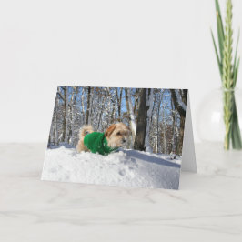 De Kaart van de Aanmoediging van de alpinist