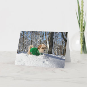 De Kaart van de Aanmoediging van de alpinist