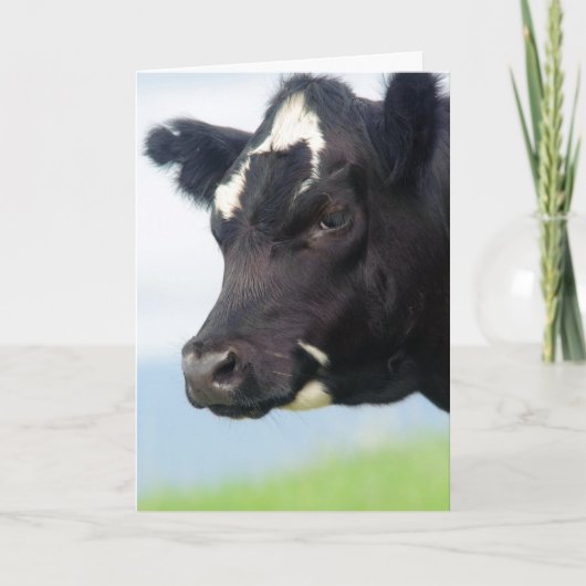 De Kaart van de Adreswijziging van de koe (Voorkant)