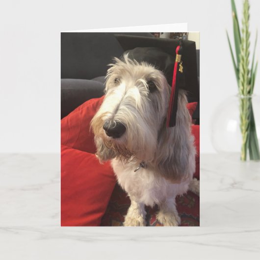 De Kaart van de Afstuderen van de hond (Voorkant)