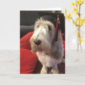 De Kaart van de Afstuderen van de hond (Gele Bloem)