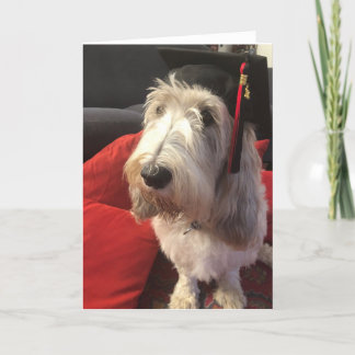 De Kaart van de Afstuderen van de hond