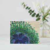 De Kaart van de Bloem van de Kleuren van de pauw (Staand voorkant)