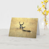 DE KAART VAN DE BOK & VAN DE DAMHINDE (Gele Bloem)