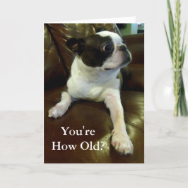 De Kaart van de Boston Terrier (Animal Rescue)