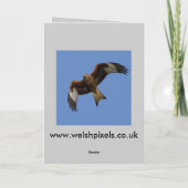 De Kaart van de buizerd (Achterkant)