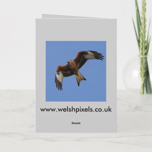 De Kaart van de buizerd (Achterkant)