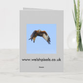 De Kaart van de Buizerd van de jacht (Achterkant)