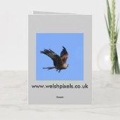 De Kaart van de Buizerd van de jacht (Achterkant)