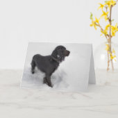 De Kaart van de cocker-spaniël (Gele Bloem)