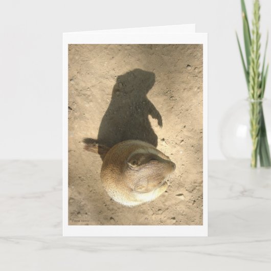 De Kaart van de Dag van het Varken van de grond (Voorkant)