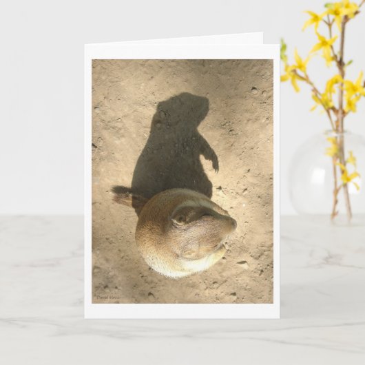 De Kaart van de Dag van het Varken van de grond (Gele Bloem)