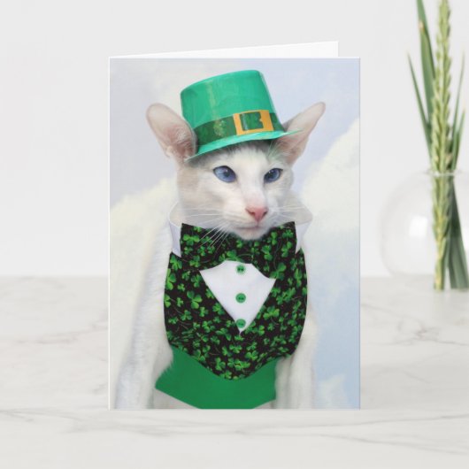 De Kaart van de Dag van McCat St Patrick van (Voorkant)