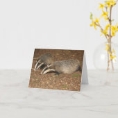 De kaart van de dassengroeten van Brockwatch (Gele Bloem)