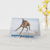 De kaart van de de hondverjaardag van de bokser (Gele Bloem)