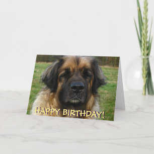 De kaart van de de hondverjaardag van Leonberger