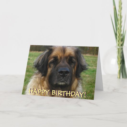 De kaart van de de hondverjaardag van Leonberger (Voorkant)