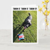 De kaart van de de humorverjaardag van de hond (Gele Bloem)