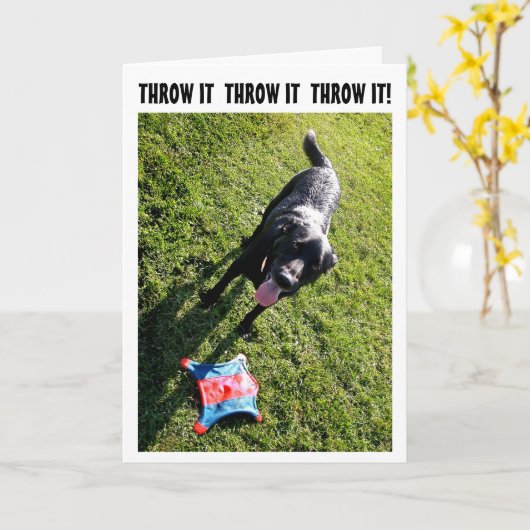 De kaart van de de humorverjaardag van de hond (Gele Bloem)