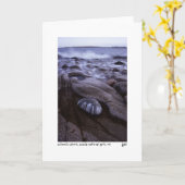 De kaart van de de kustfoto van Schoodic (Gele Bloem)